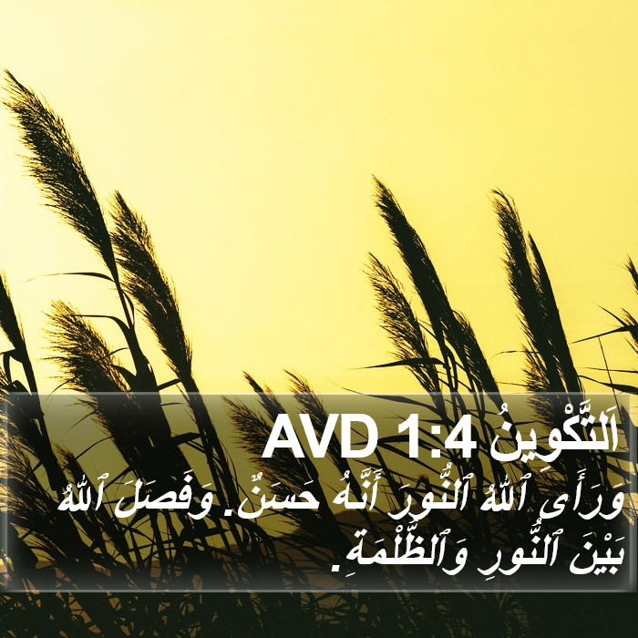 اَلتَّكْوِينُ 1:4 AVD Bible Study