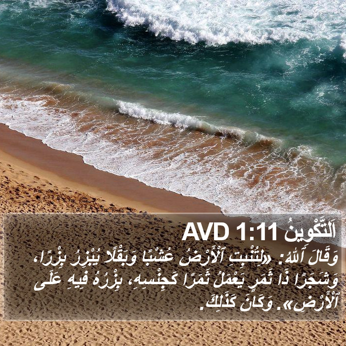 اَلتَّكْوِينُ 1:11 AVD Bible Study