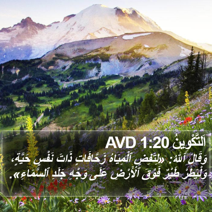 اَلتَّكْوِينُ 1:20 AVD Bible Study