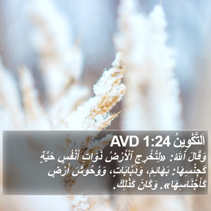 اَلتَّكْوِينُ 1:24 AVD Bible Study