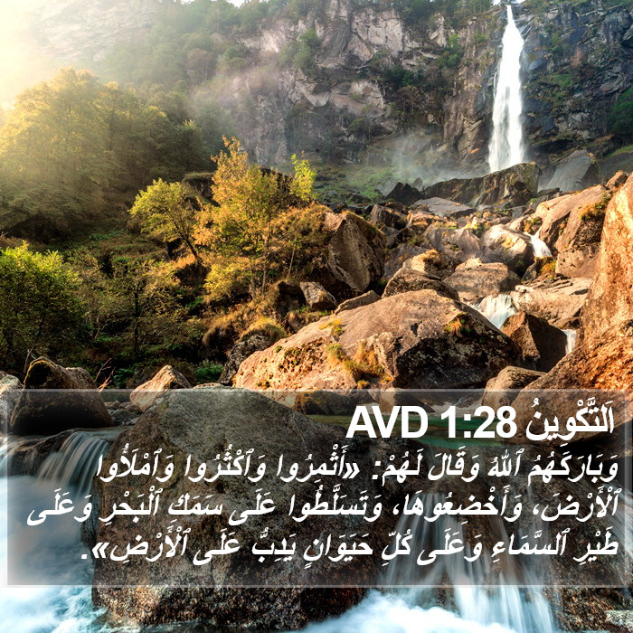 اَلتَّكْوِينُ 1:28 AVD Bible Study