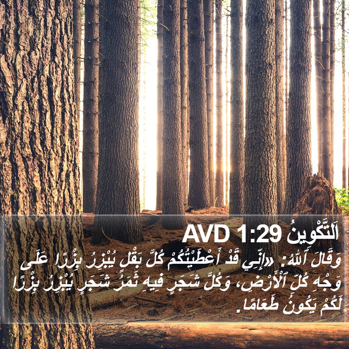 اَلتَّكْوِينُ 1:29 AVD Bible Study