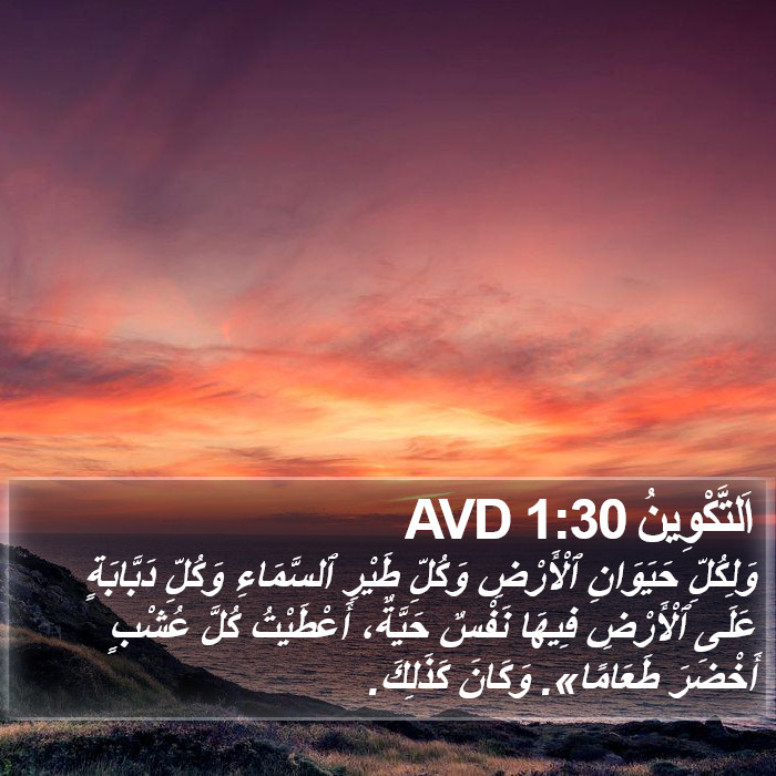 اَلتَّكْوِينُ 1:30 AVD Bible Study