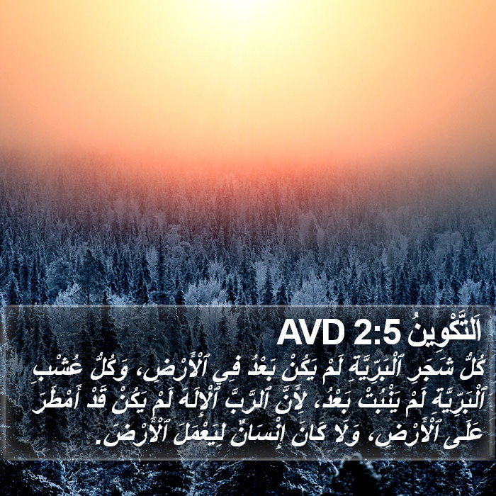 اَلتَّكْوِينُ 2:5 AVD Bible Study