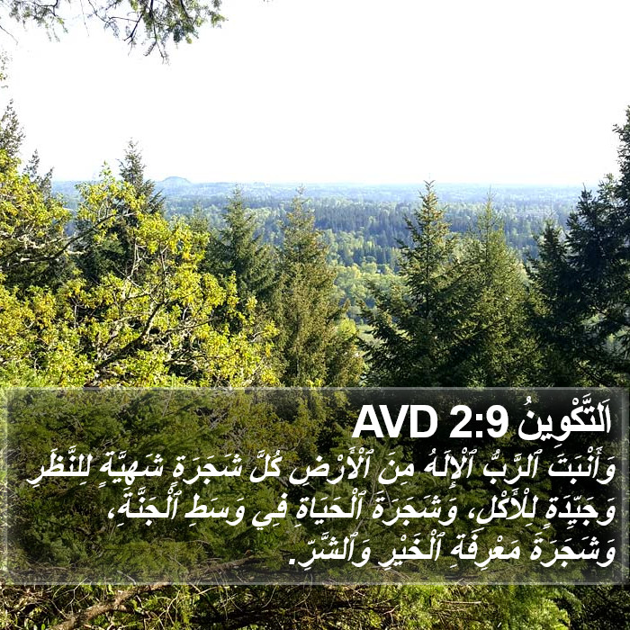 اَلتَّكْوِينُ 2:9 AVD Bible Study