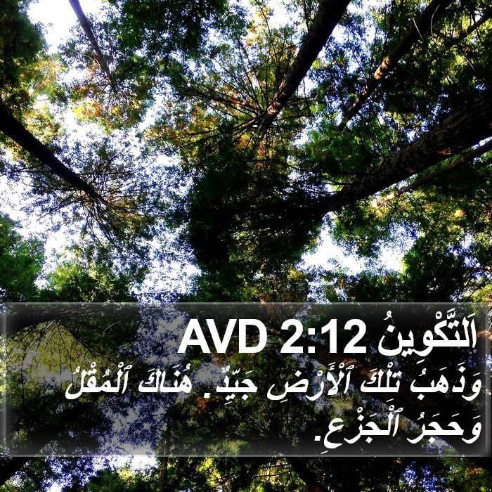 اَلتَّكْوِينُ 2:12 AVD Bible Study