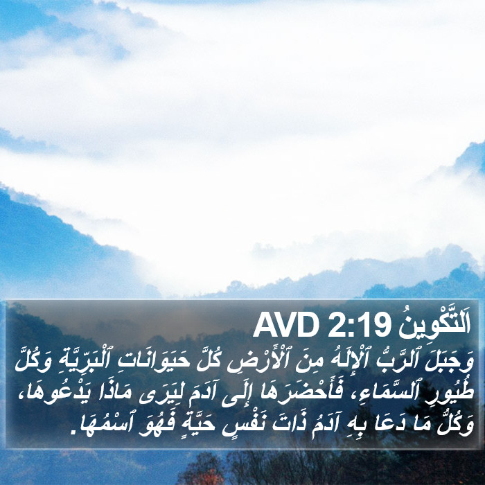 اَلتَّكْوِينُ 2:19 AVD Bible Study
