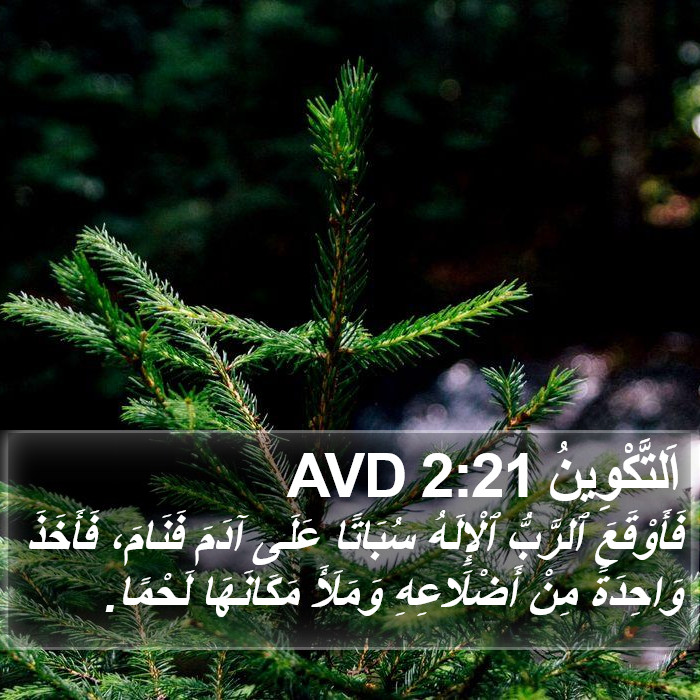 اَلتَّكْوِينُ 2:21 AVD Bible Study