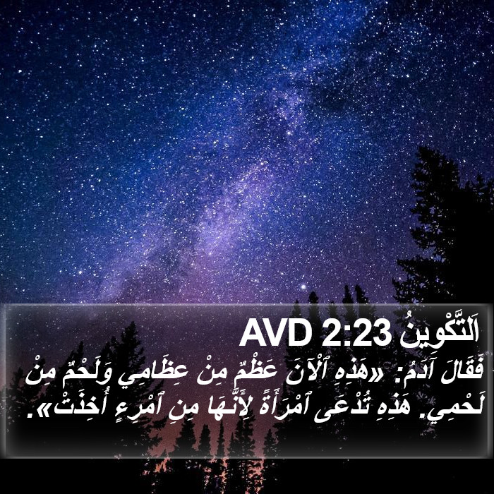 اَلتَّكْوِينُ 2:23 AVD Bible Study