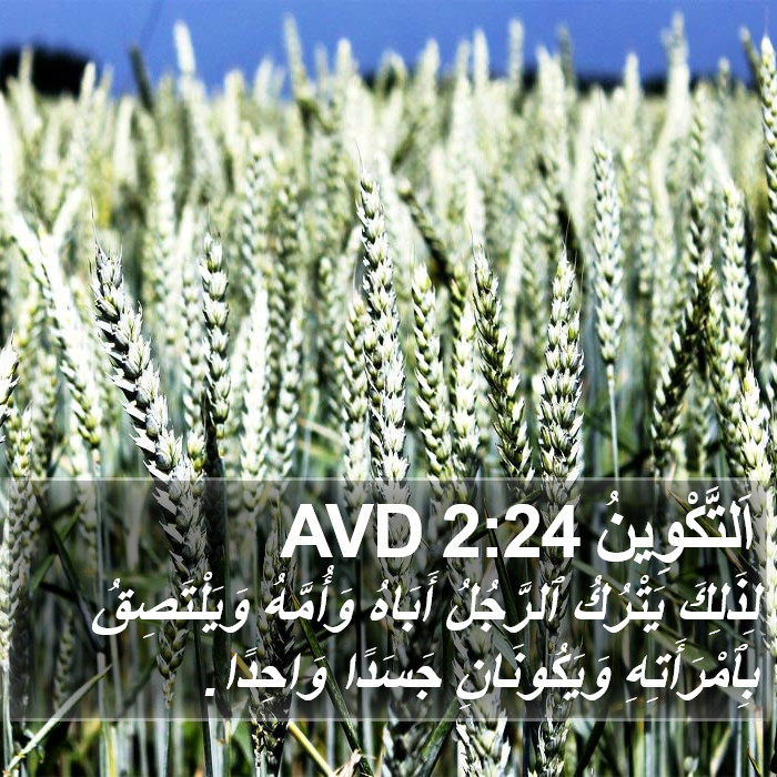 اَلتَّكْوِينُ 2:24 AVD Bible Study
