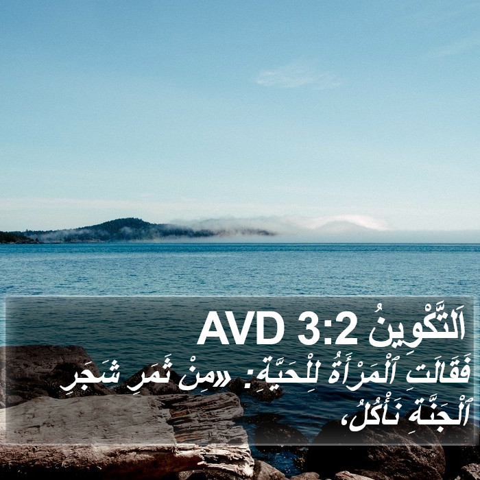 اَلتَّكْوِينُ 3:2 AVD Bible Study