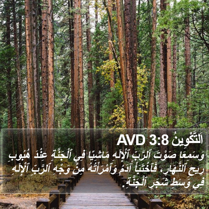 اَلتَّكْوِينُ 3:8 AVD Bible Study