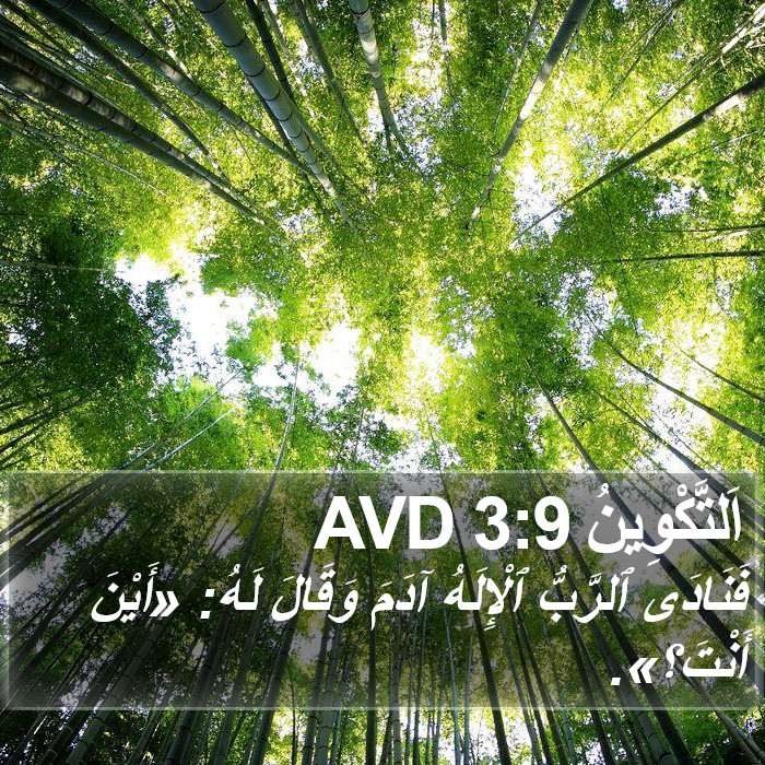 اَلتَّكْوِينُ 3:9 AVD Bible Study