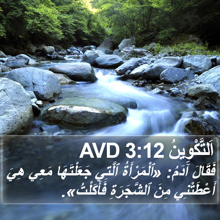 اَلتَّكْوِينُ 3:12 AVD Bible Study