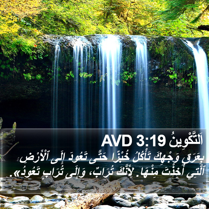 اَلتَّكْوِينُ 3:19 AVD Bible Study