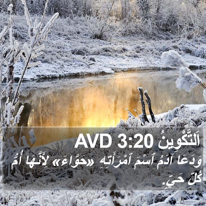 اَلتَّكْوِينُ 3:20 AVD Bible Study