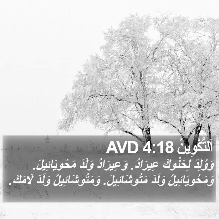 اَلتَّكْوِينُ 4:18 AVD Bible Study