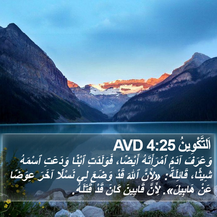 اَلتَّكْوِينُ 4:25 AVD Bible Study