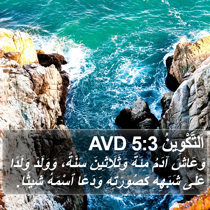 اَلتَّكْوِينُ 5:3 AVD Bible Study