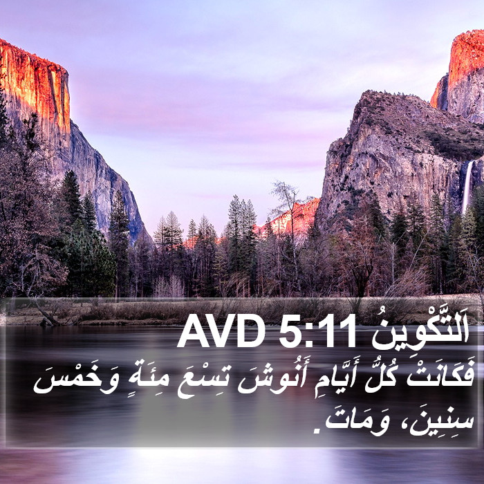 اَلتَّكْوِينُ 5:11 AVD Bible Study