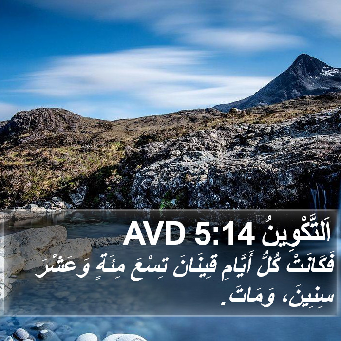 اَلتَّكْوِينُ 5:14 AVD Bible Study