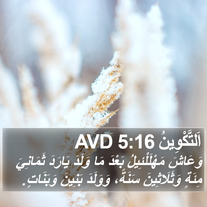 اَلتَّكْوِينُ 5:16 AVD Bible Study