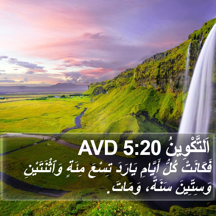 اَلتَّكْوِينُ 5:20 AVD Bible Study