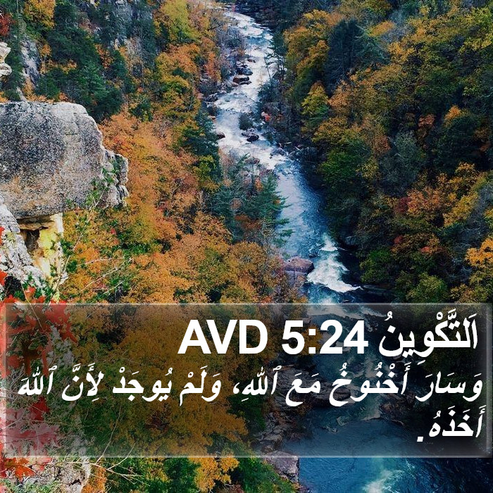 اَلتَّكْوِينُ 5:24 AVD Bible Study