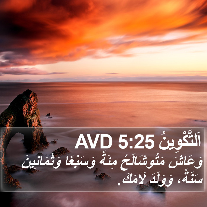 اَلتَّكْوِينُ 5:25 AVD Bible Study