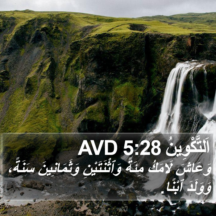 اَلتَّكْوِينُ 5:28 AVD Bible Study