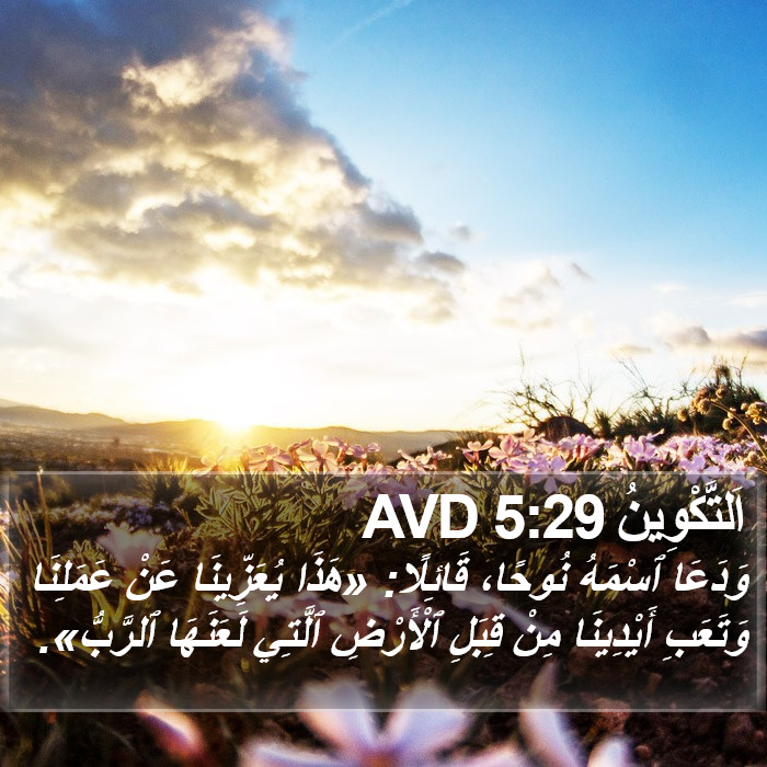 اَلتَّكْوِينُ 5:29 AVD Bible Study