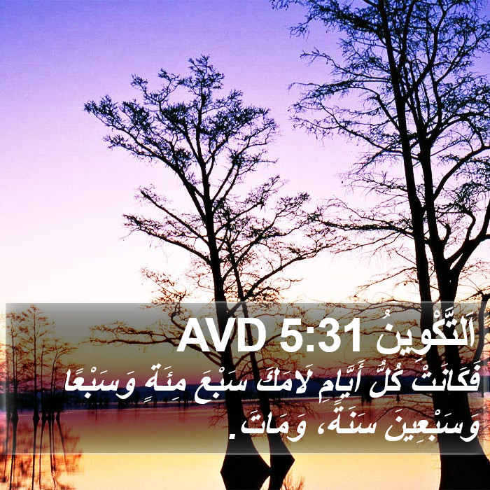 اَلتَّكْوِينُ 5:31 AVD Bible Study