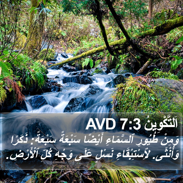 اَلتَّكْوِينُ 7:3 AVD Bible Study