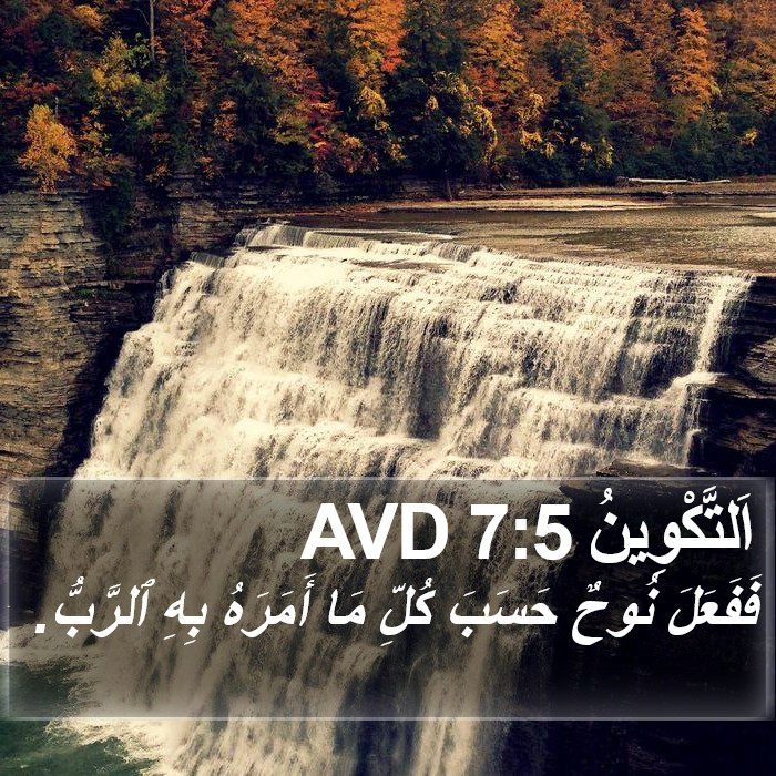 اَلتَّكْوِينُ 7:5 AVD Bible Study