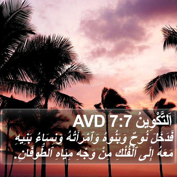 اَلتَّكْوِينُ 7:7 AVD Bible Study