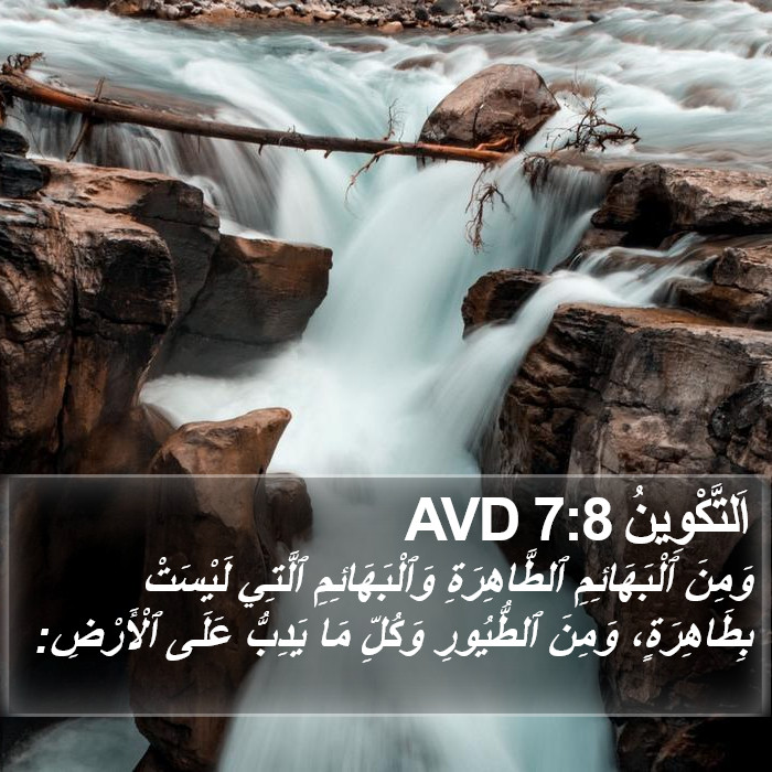 اَلتَّكْوِينُ 7:8 AVD Bible Study