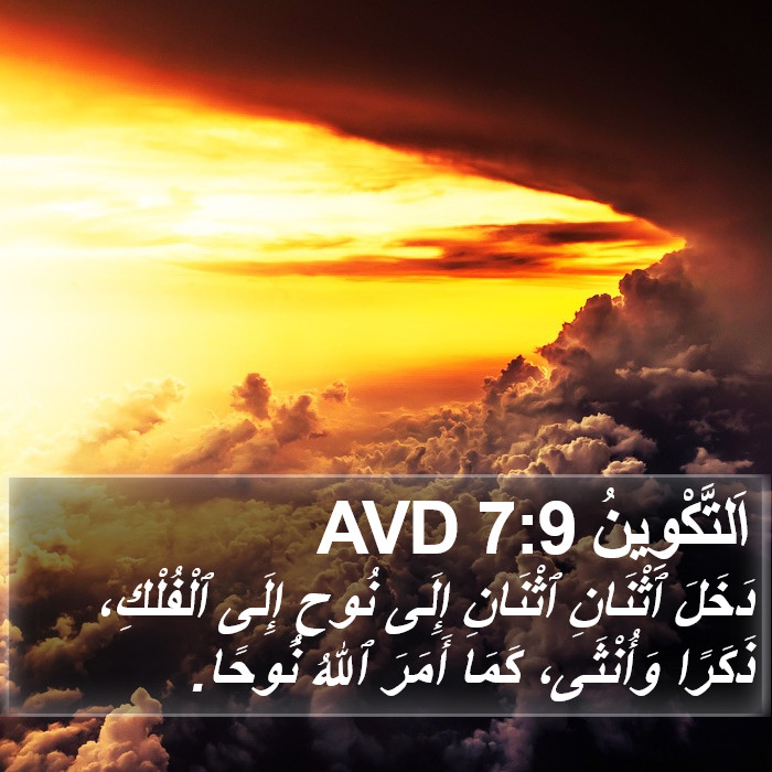اَلتَّكْوِينُ 7:9 AVD Bible Study