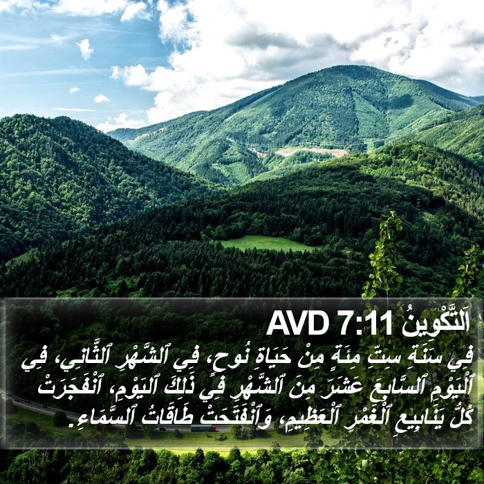 اَلتَّكْوِينُ 7:11 AVD Bible Study