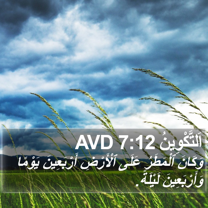 اَلتَّكْوِينُ 7:12 AVD Bible Study
