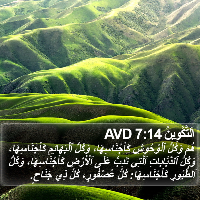 اَلتَّكْوِينُ 7:14 AVD Bible Study