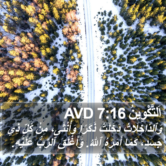 اَلتَّكْوِينُ 7:16 AVD Bible Study