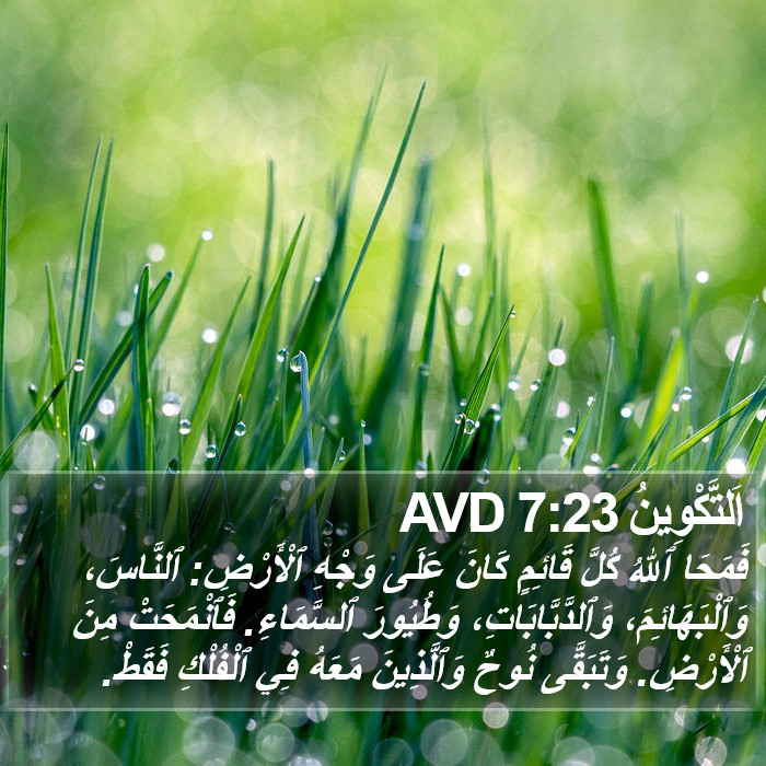اَلتَّكْوِينُ 7:23 AVD Bible Study