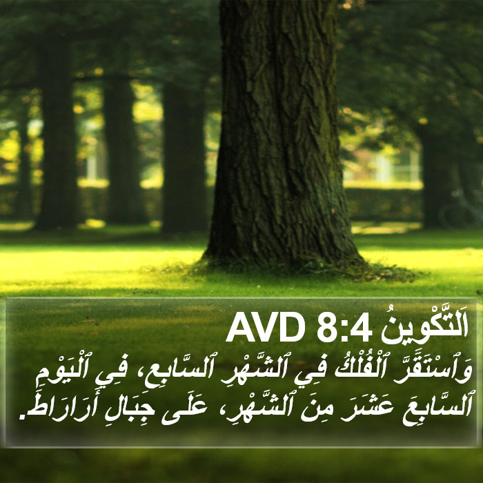 اَلتَّكْوِينُ 8:4 AVD Bible Study