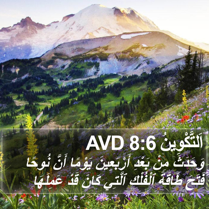 اَلتَّكْوِينُ 8:6 AVD Bible Study