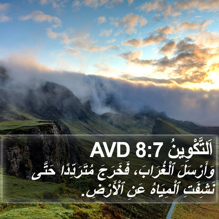 اَلتَّكْوِينُ 8:7 AVD Bible Study