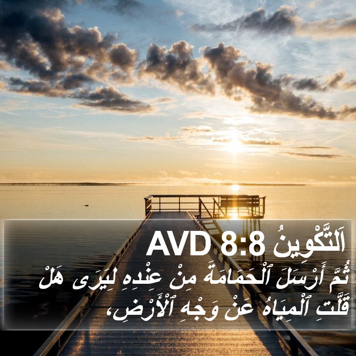 اَلتَّكْوِينُ 8:8 AVD Bible Study