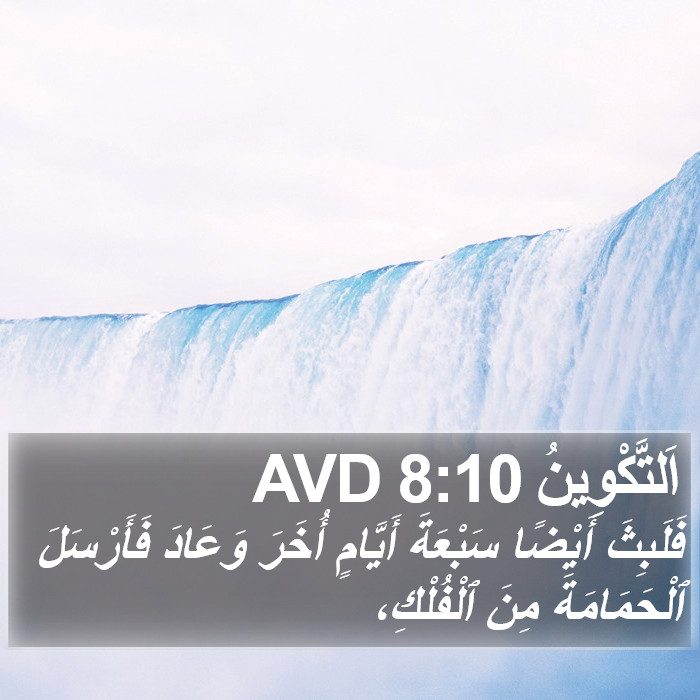اَلتَّكْوِينُ 8:10 AVD Bible Study