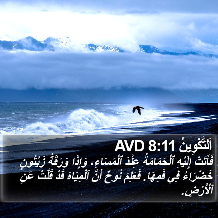 اَلتَّكْوِينُ 8:11 AVD Bible Study