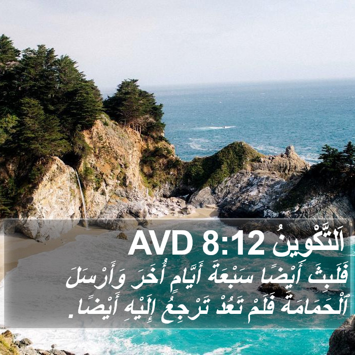 اَلتَّكْوِينُ 8:12 AVD Bible Study
