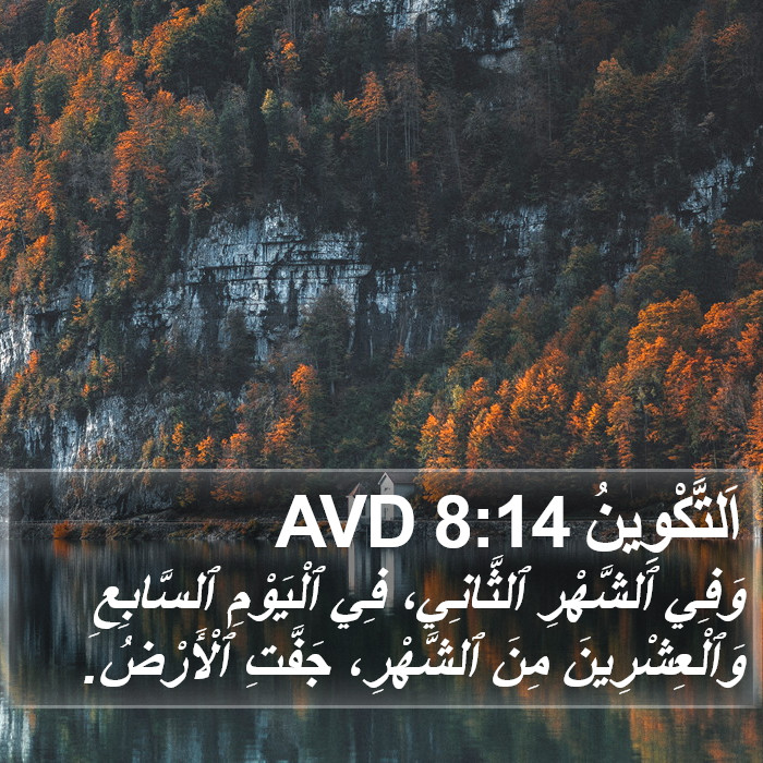 اَلتَّكْوِينُ 8:14 AVD Bible Study